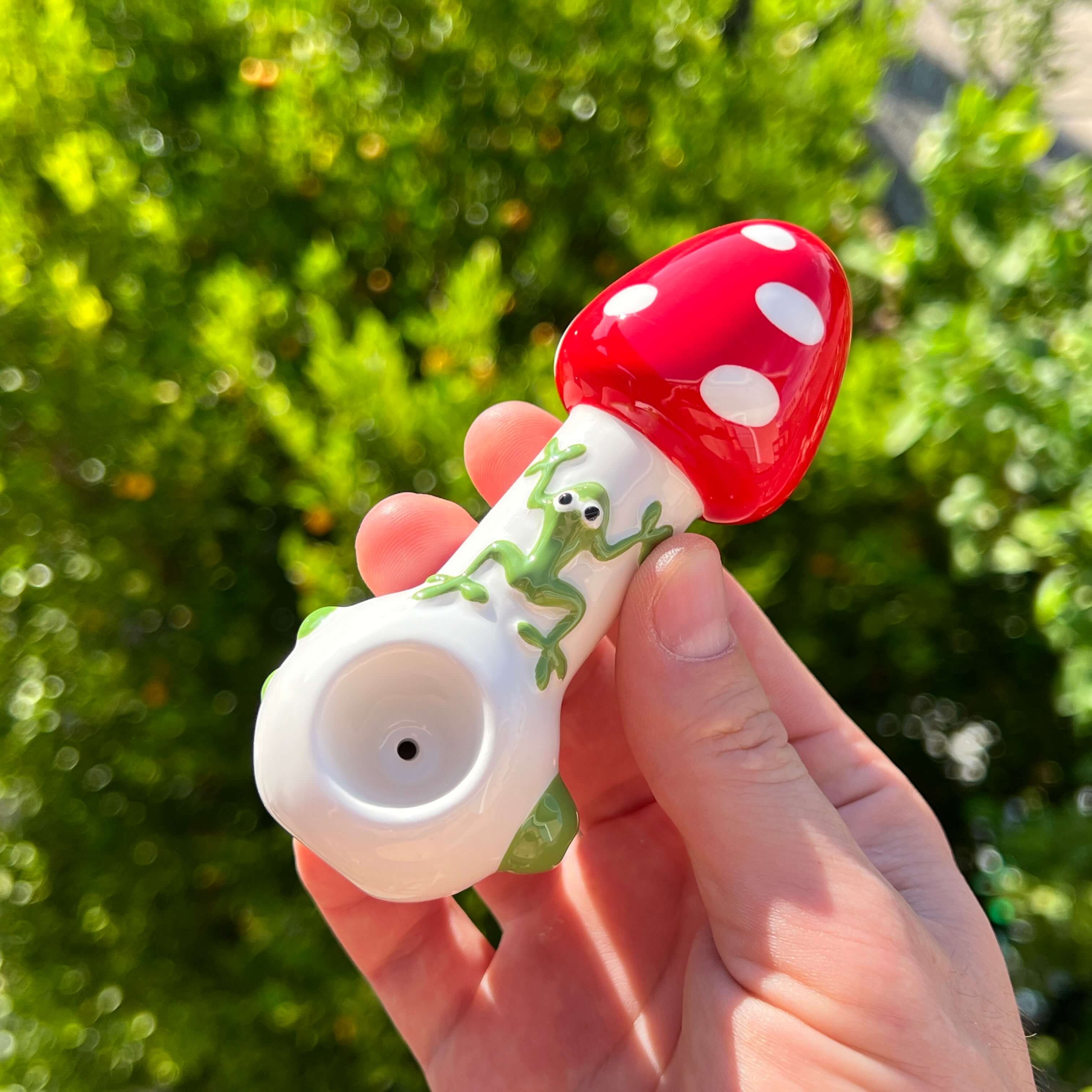 Mushroom Pipe with Froggy