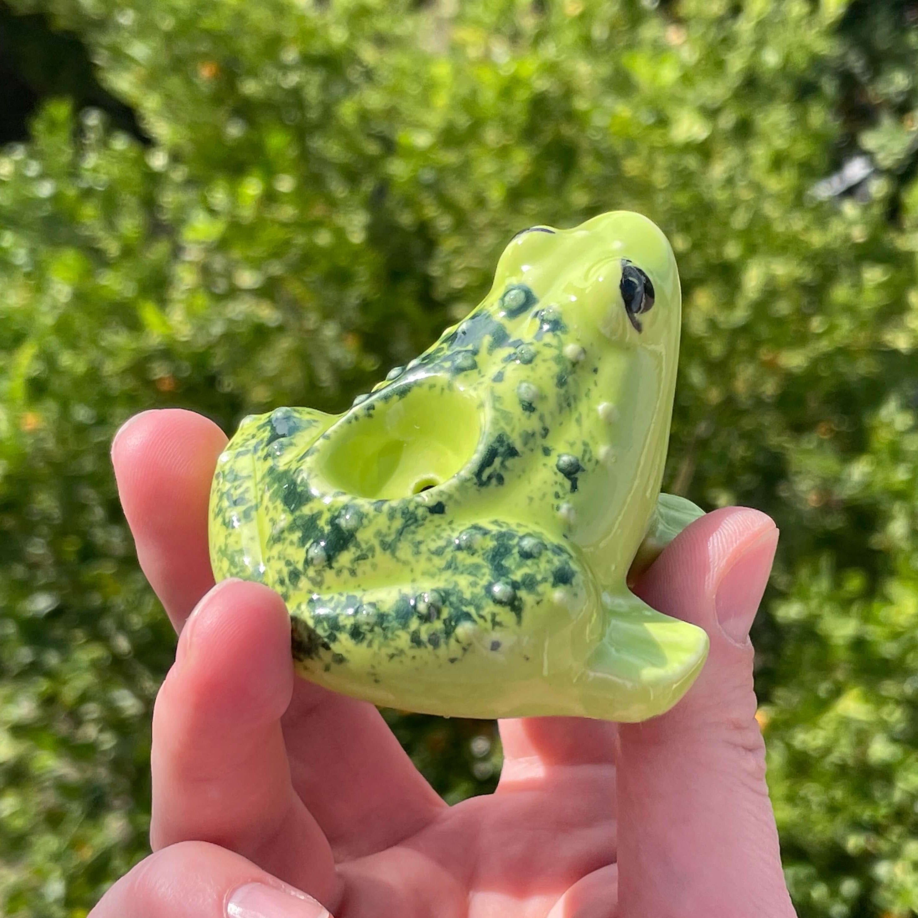 Frog pipe