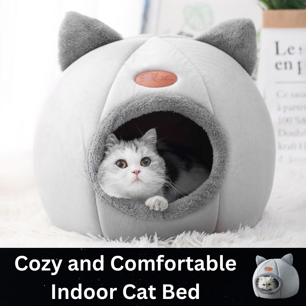 Cozy and Comfortable Indoor Cat Bed