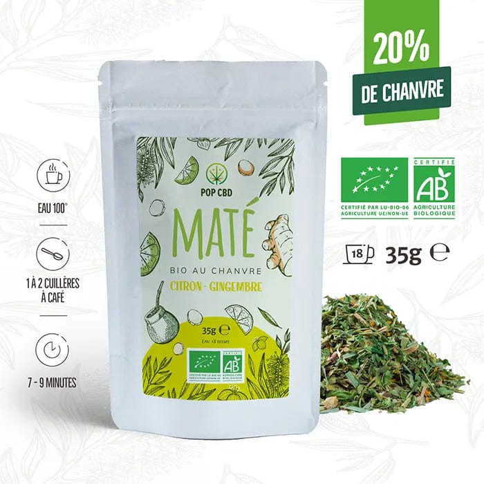 Maté Vert Bio Citron Gingembre, au Chanvre CBD