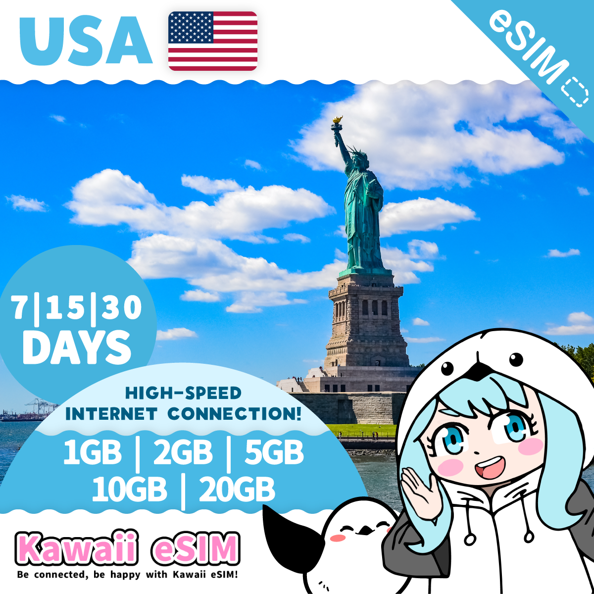 USA eSIM