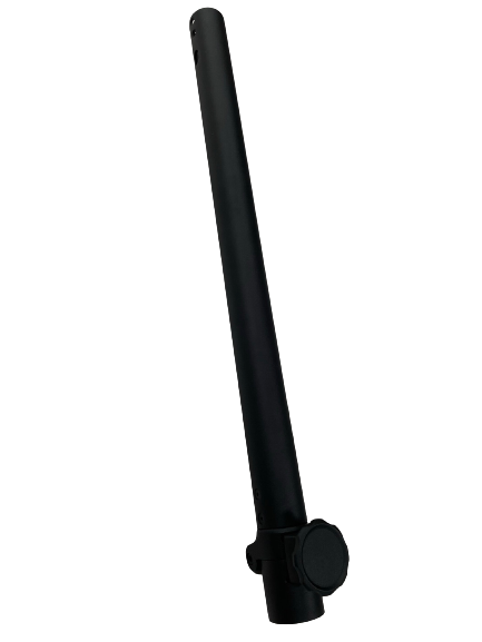 S006 Stem
