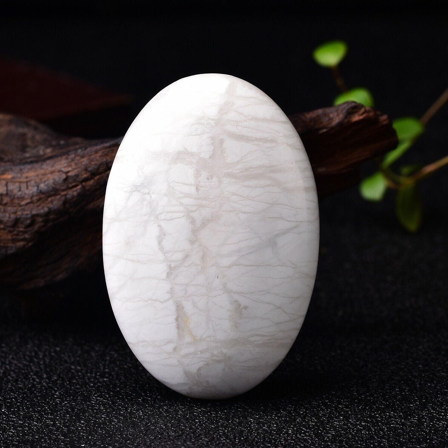 White Howlite Turquoise Palm Stone Quartz Healing Crystal Massage Polished Surface