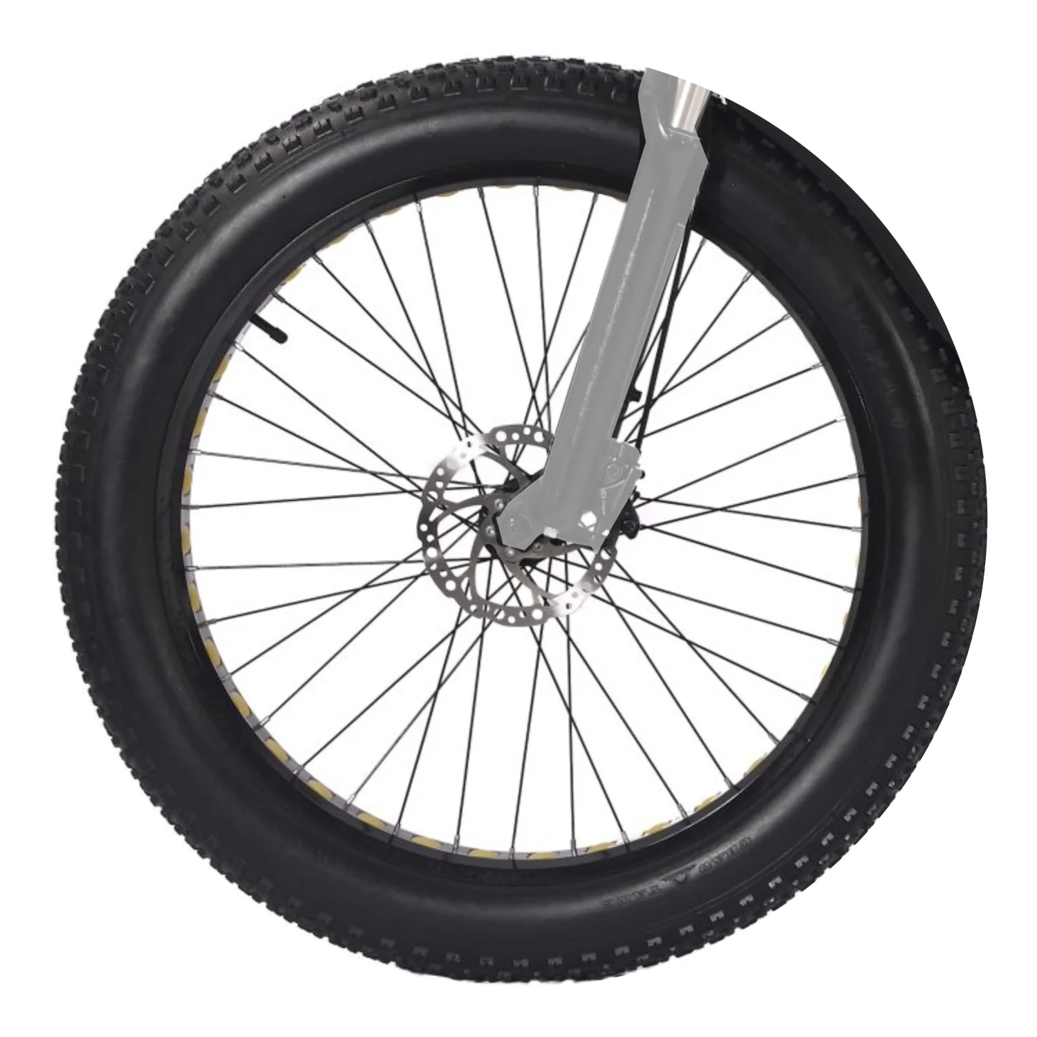 Front wheelset for Ebike WL01