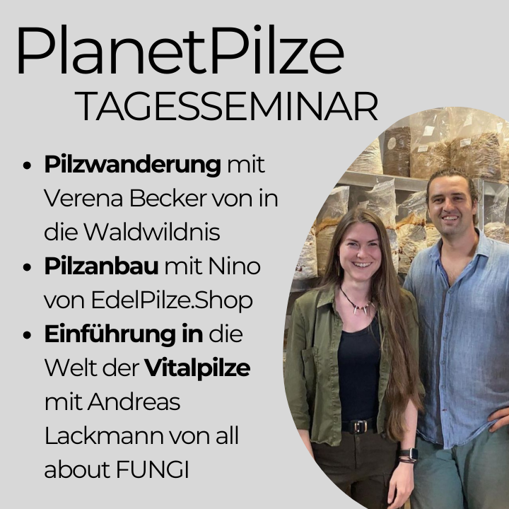 Planet Pilze Expedition (Pilzwanderung und Pilzzucht-Seminar) bei Obersontheim in Baden-Württemberg