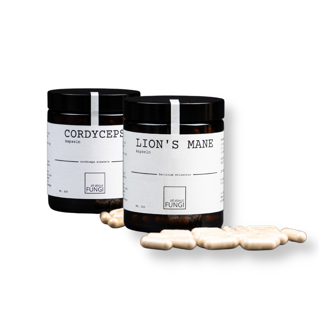 Dein All-in-One LION'S MANE & CORDYCEPS Pilzmix für den Alltag | "daily dose bundle"