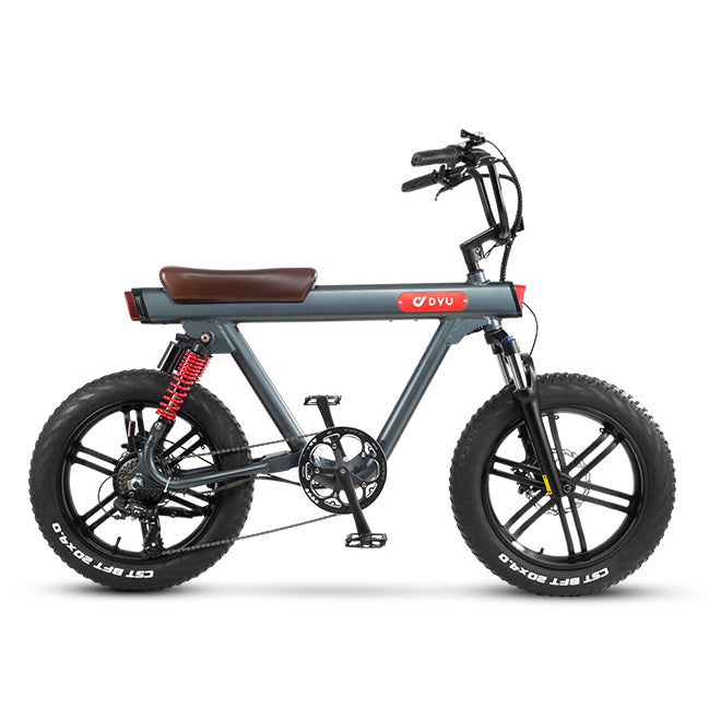 [Global Launch] DYU V8 750W Electric Fat Tire Bike for Urban Commuting