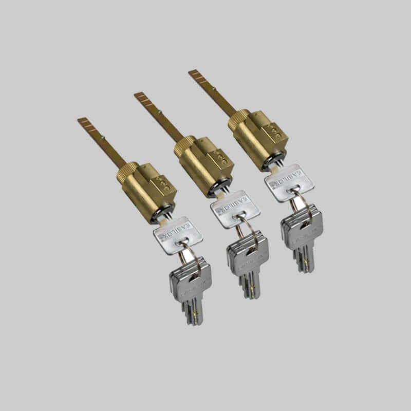 EASILOK  3*E2 Lock cylinder/cores with 15 of dimple keys