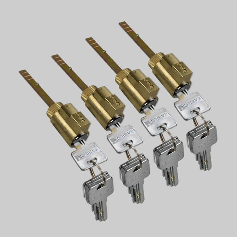 EASILOK  4*E2 Lock cylinder/cores (dimple )