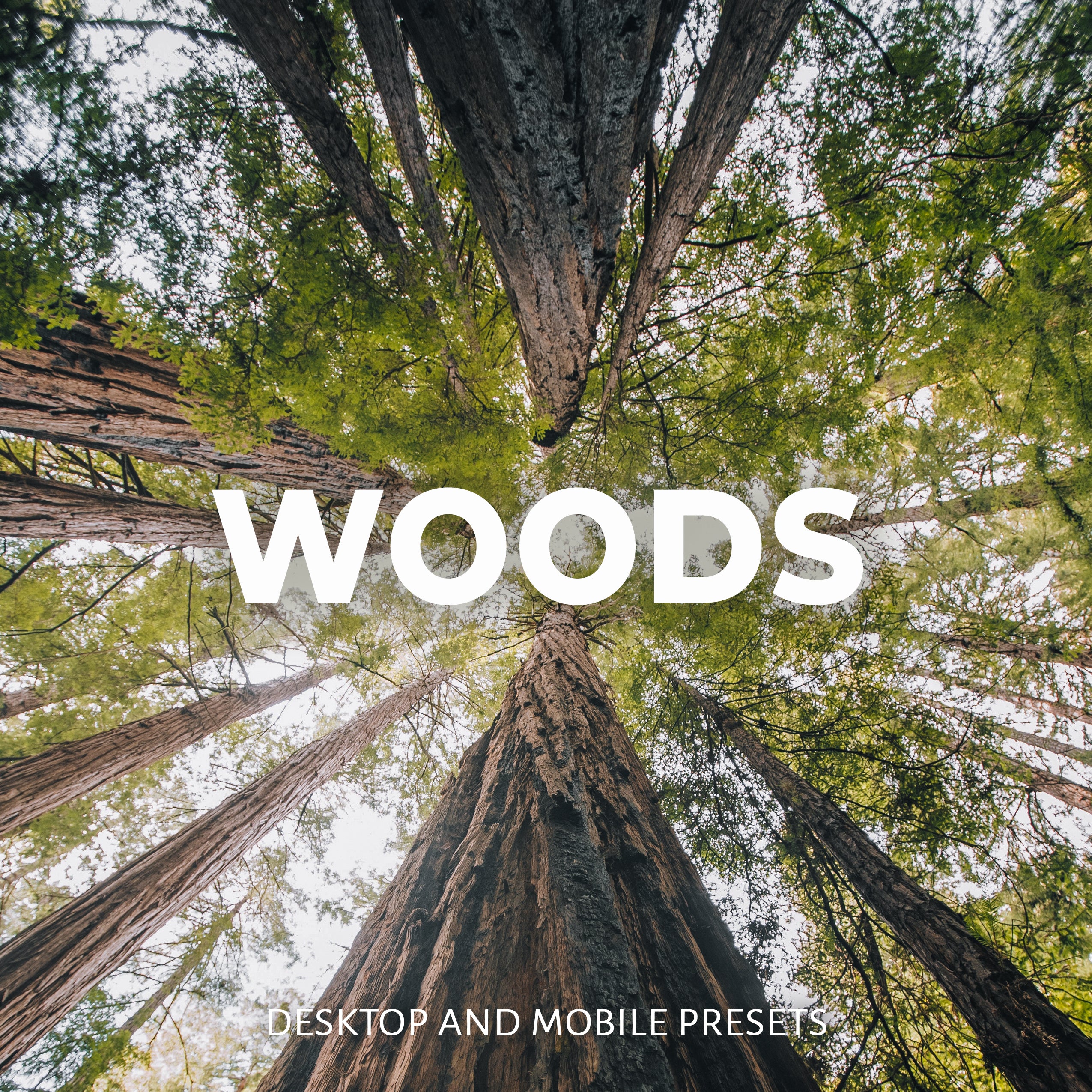WOODS