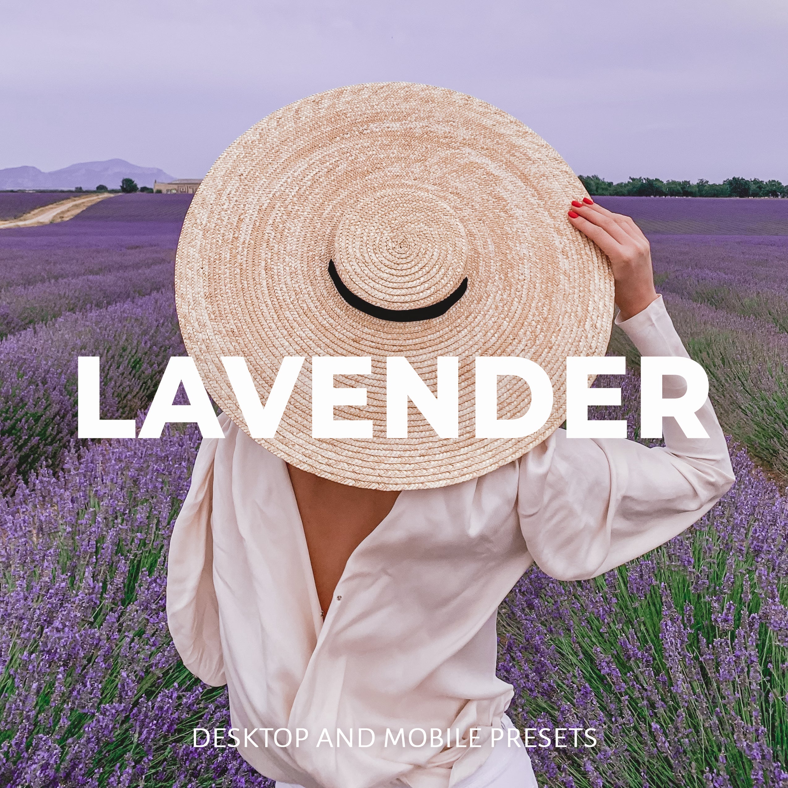 LAVENDER