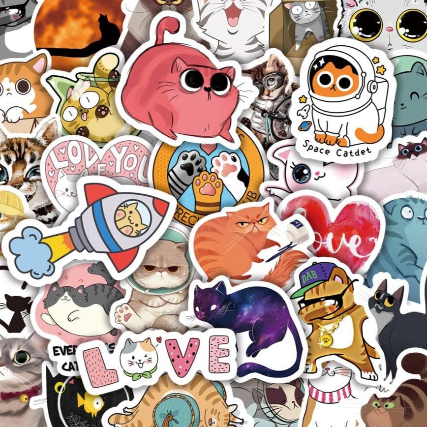 Cat Educational Teacher Decals Stickers