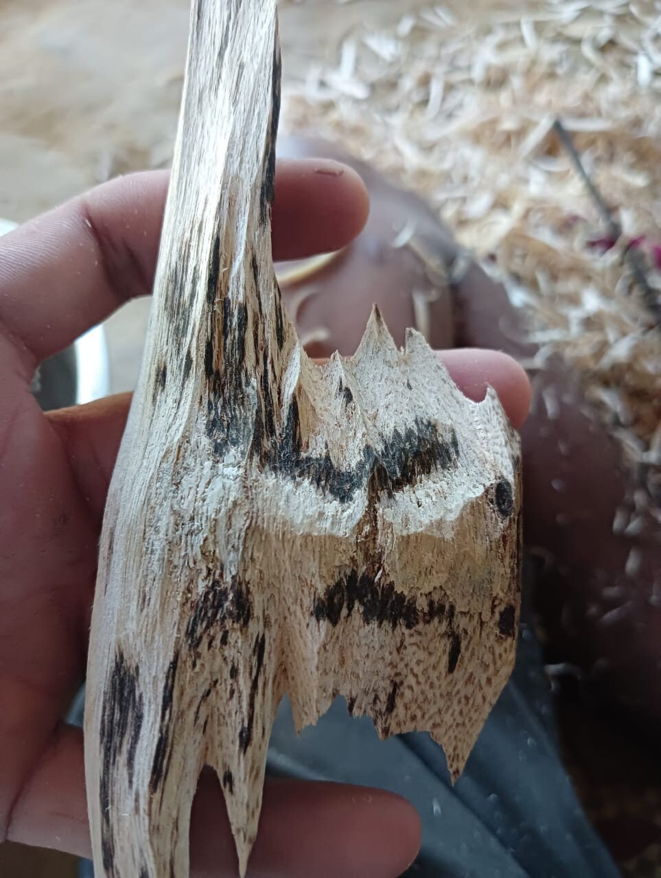 Natural Agarwood Fragments