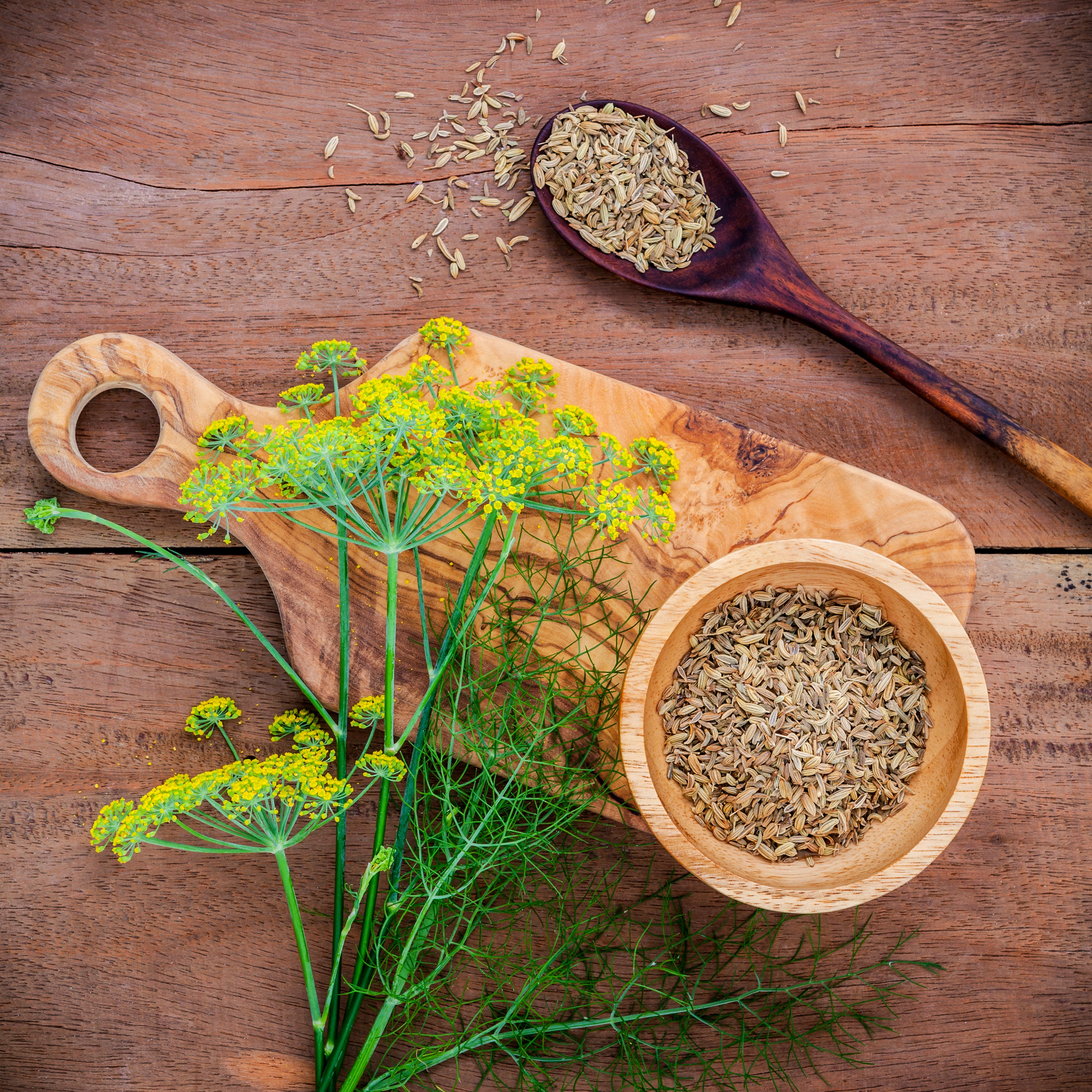 Fennel Seed Whole