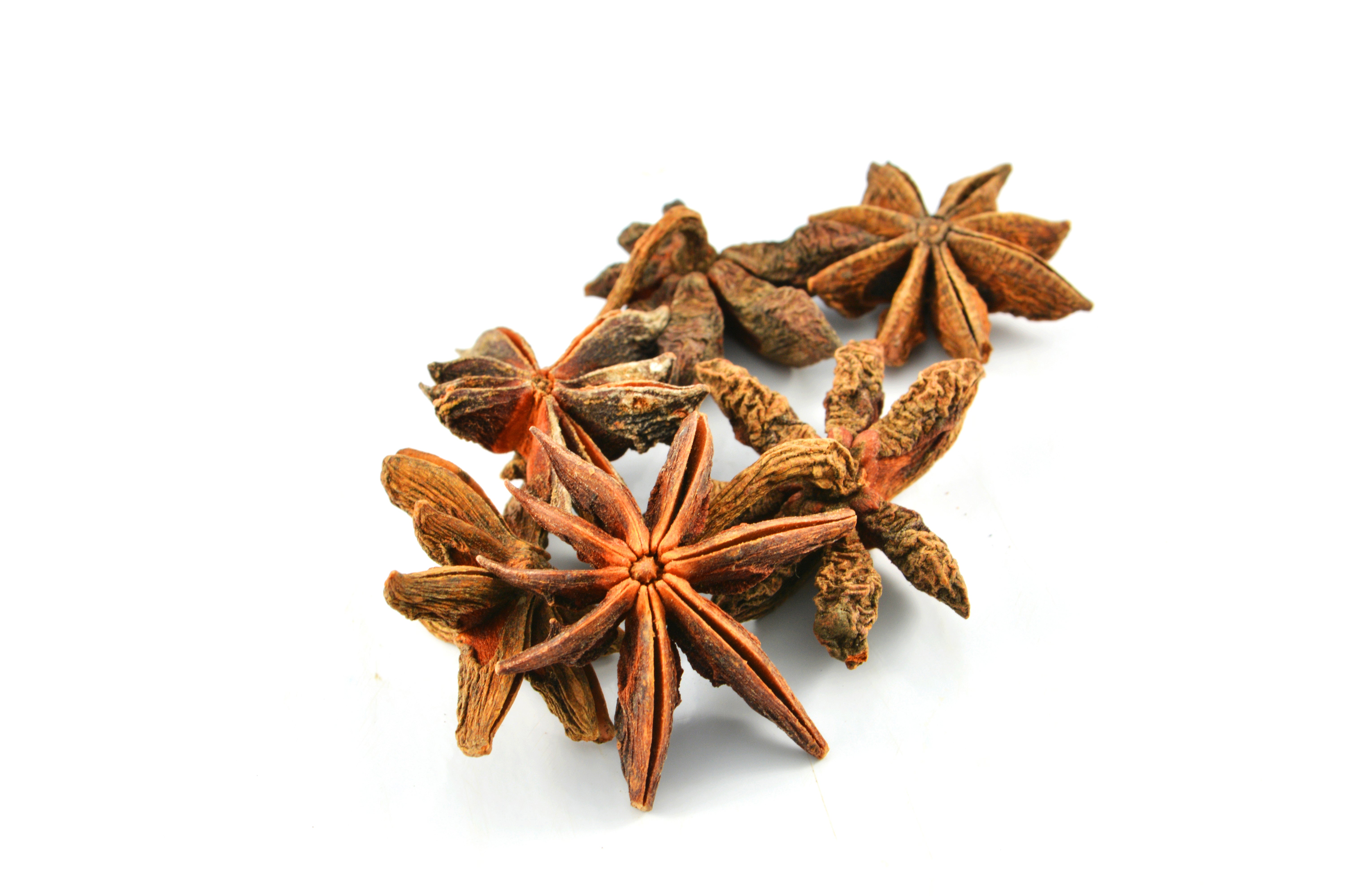 Star Anise India Whole