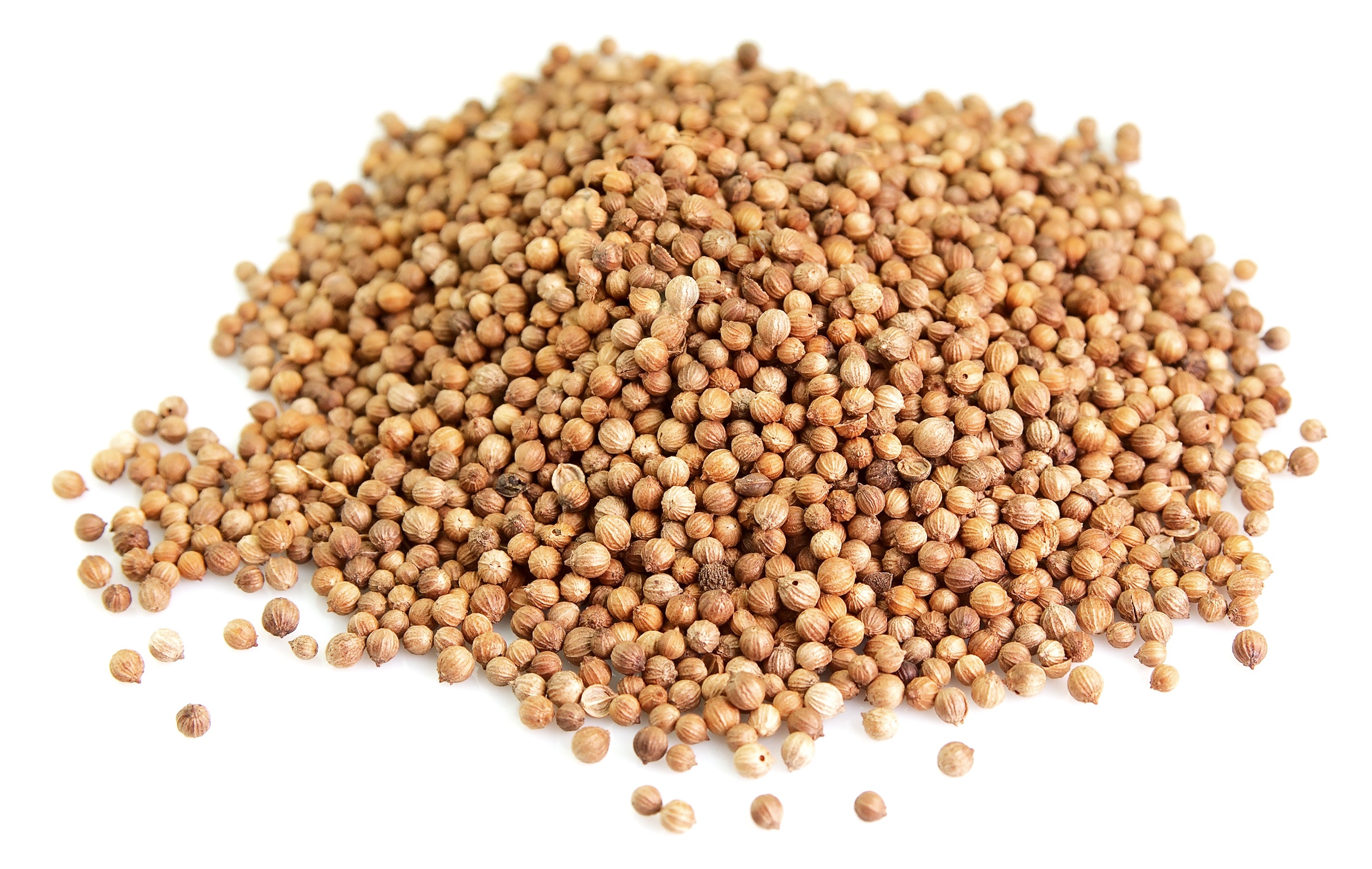 Coriander Seeds Whole