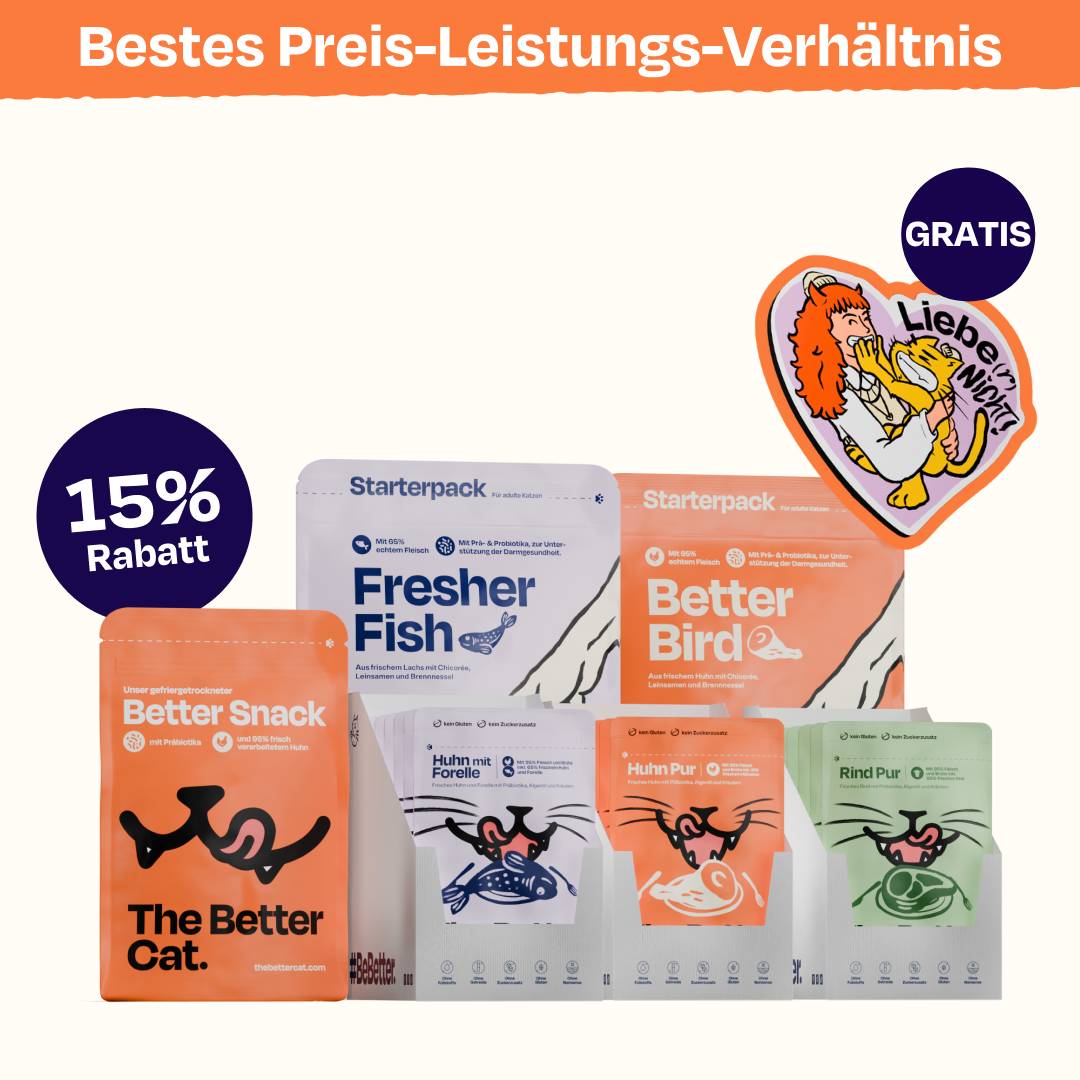 Preis-Leistungs-Pack