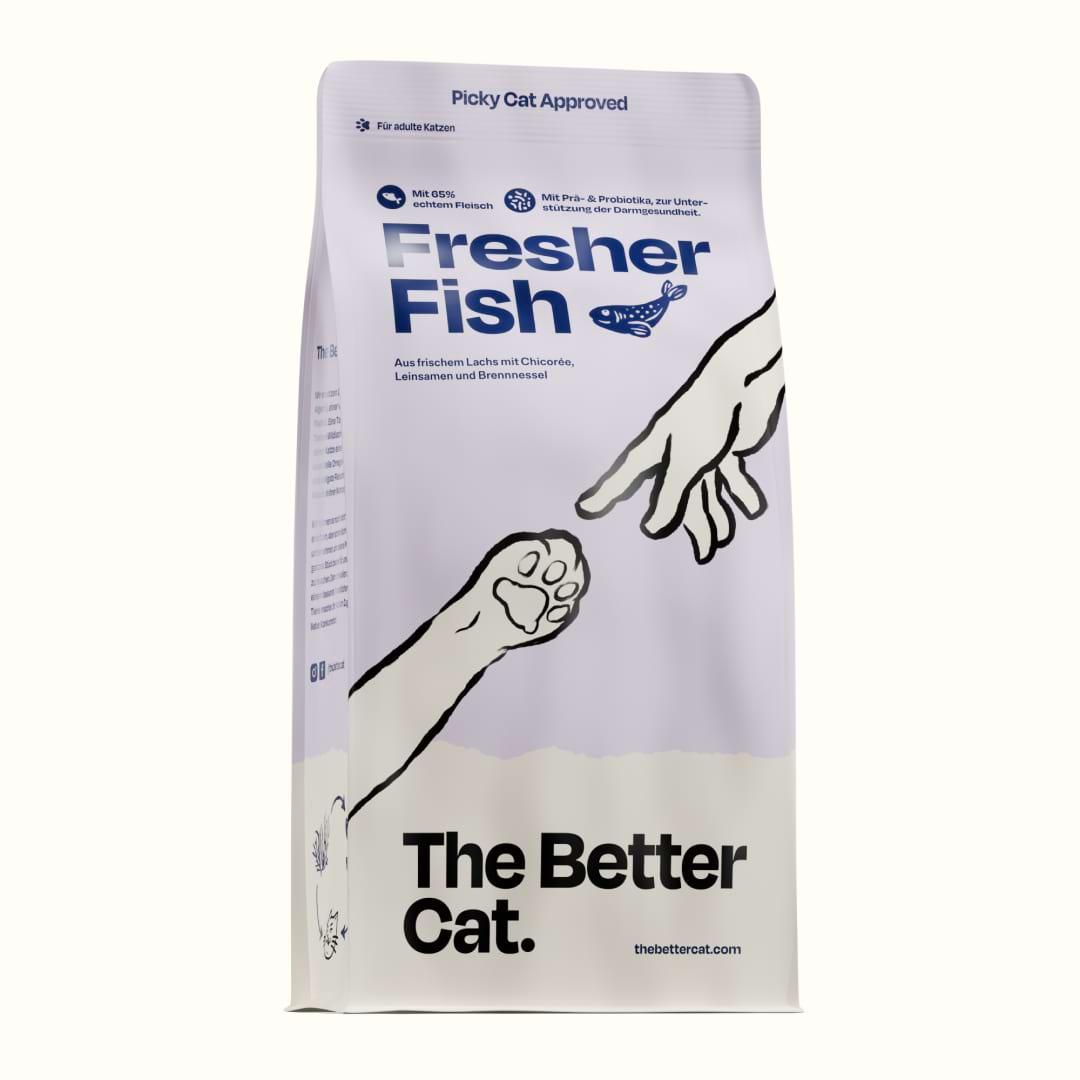 1kg Getreidefrei Frischer Lachs 🐠