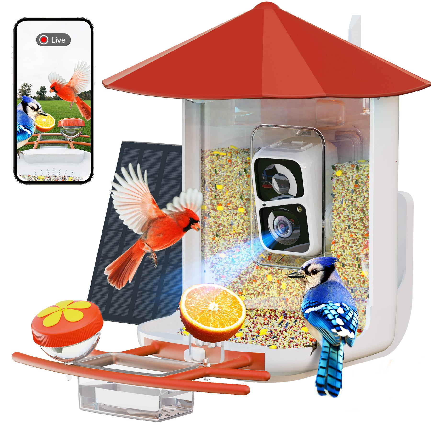 smart bird feeders