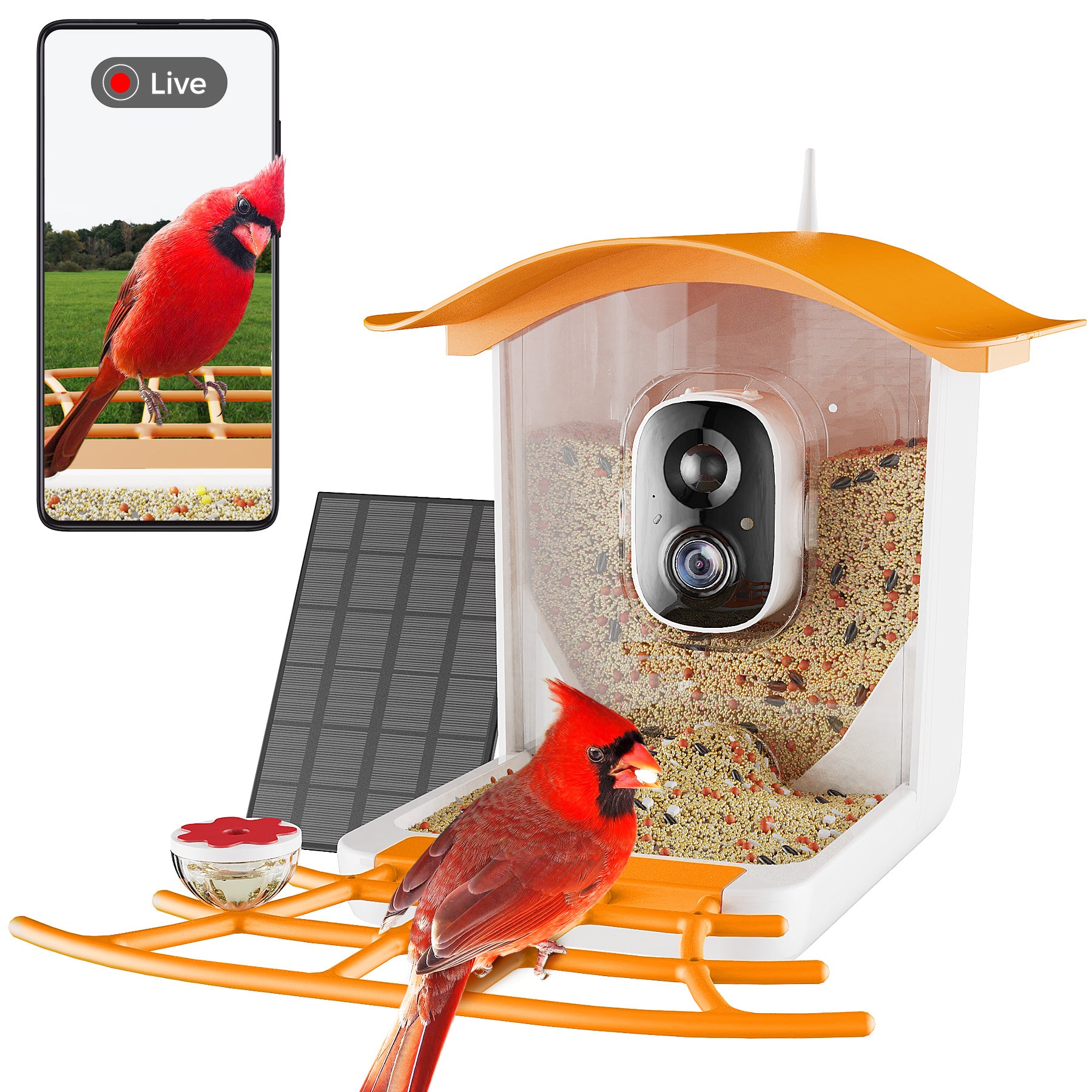 PerchMe Smart Bird Feeder with Camera Solar Powered, AI Recognition, Auto Capture & App Notify