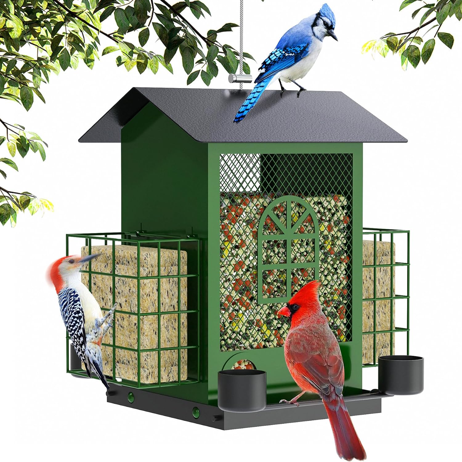 hanging bird feeders