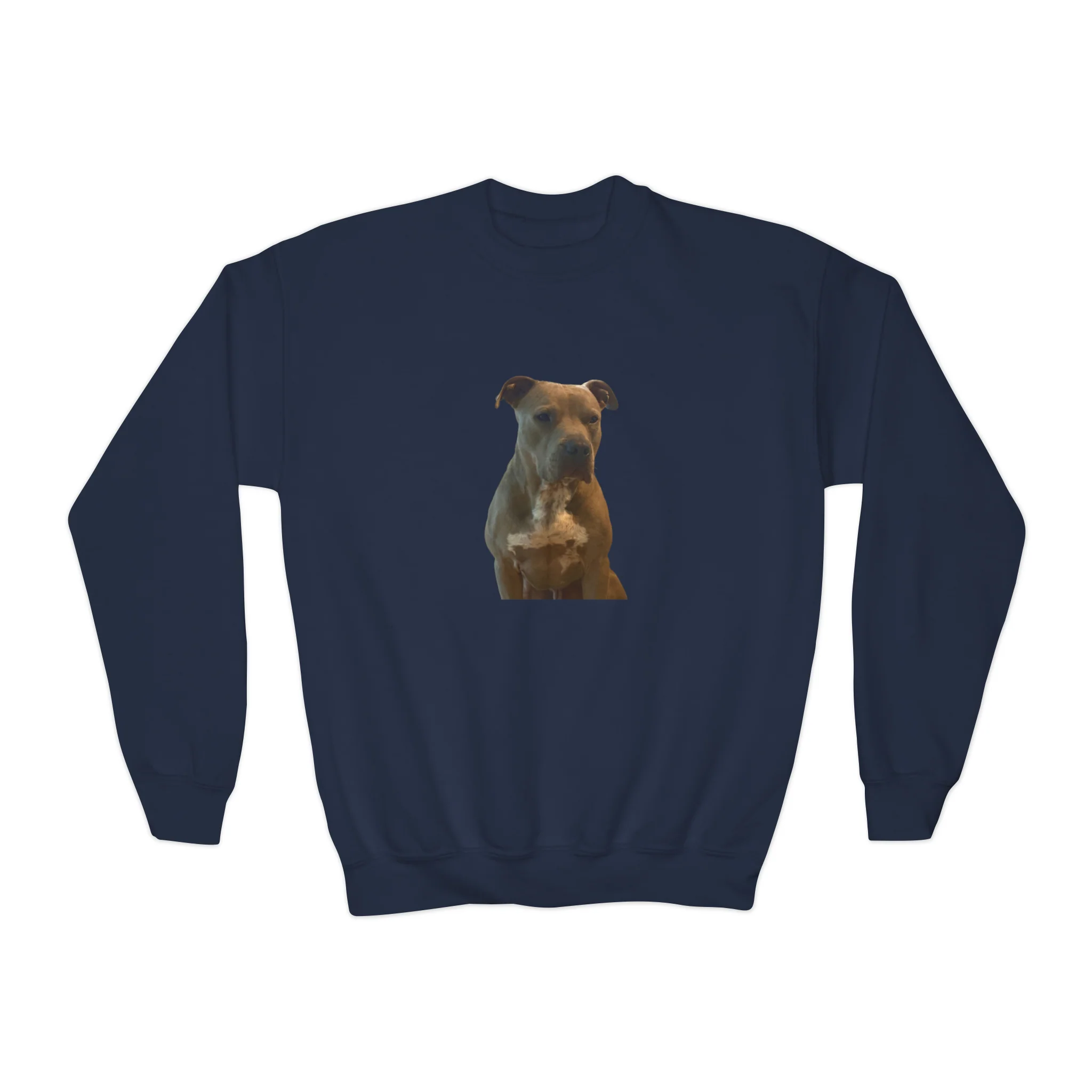 Youth Crewneck Sweatshirt Blaze The Pit Unisex