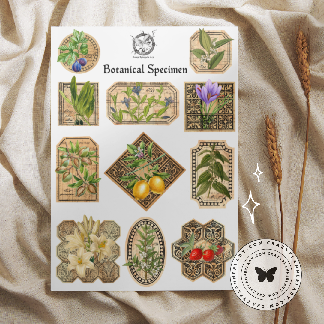 Botanical specimen - Premium sticker sheet