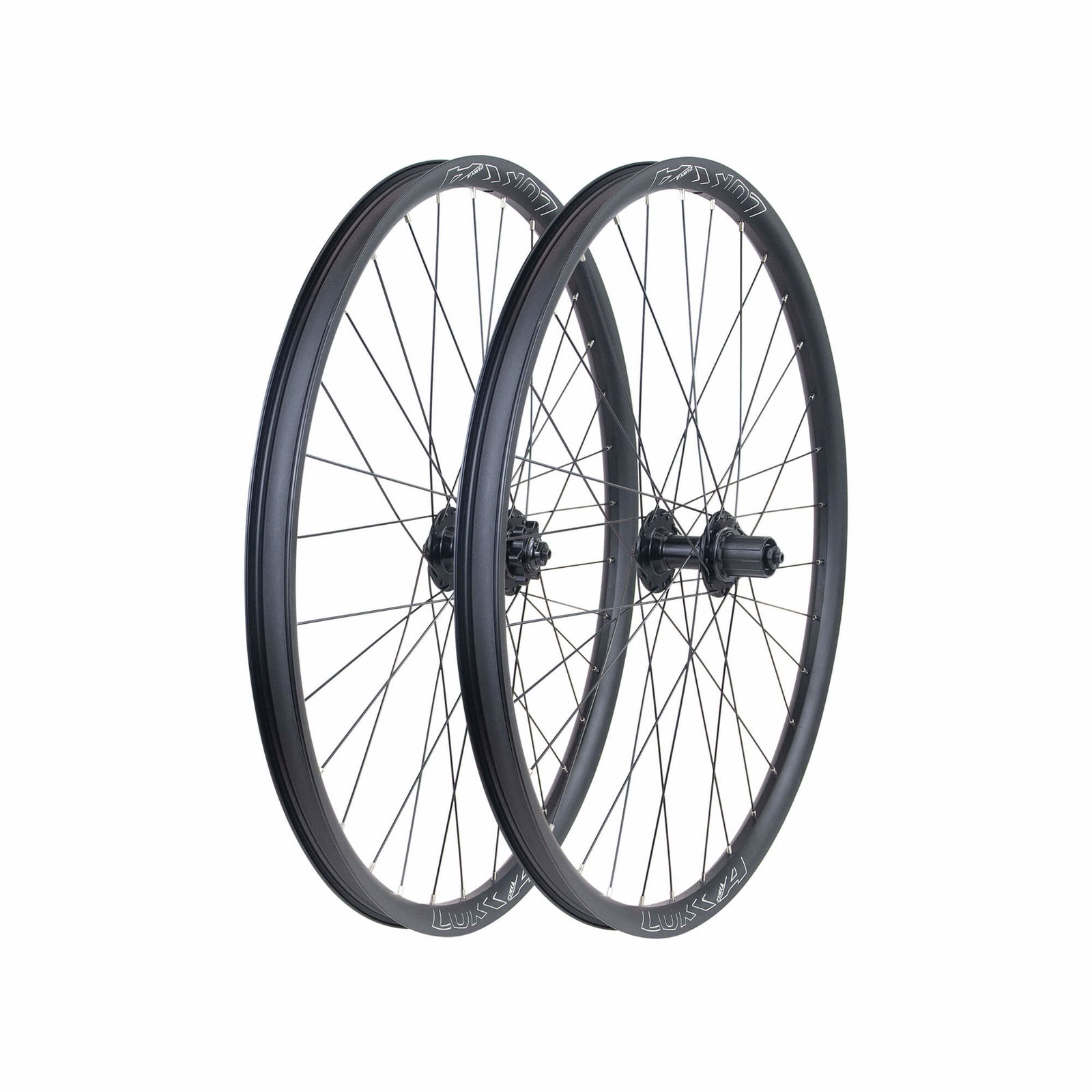 Bike Wheel