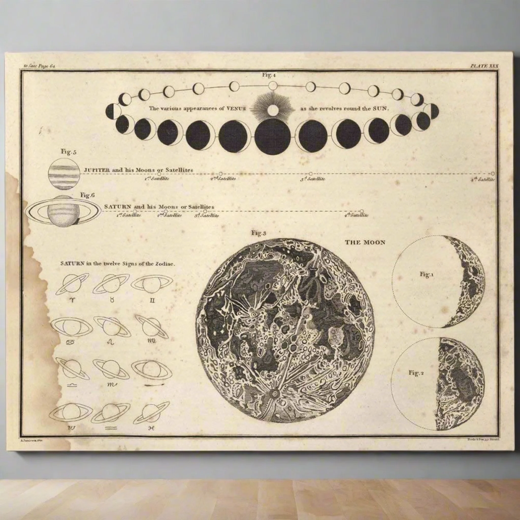 Vintage Celestial Phases Poster | Academia Decor | Unframed 11x14 Art Print