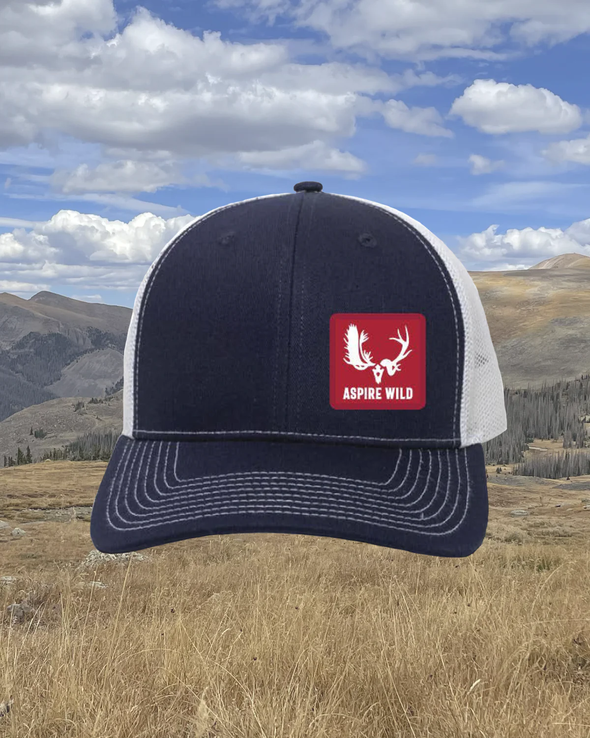 Aspire Wild "proud American" hat