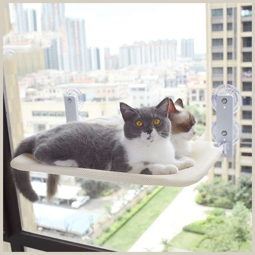 Cat Window Perch, Cat Hammock Window Sea