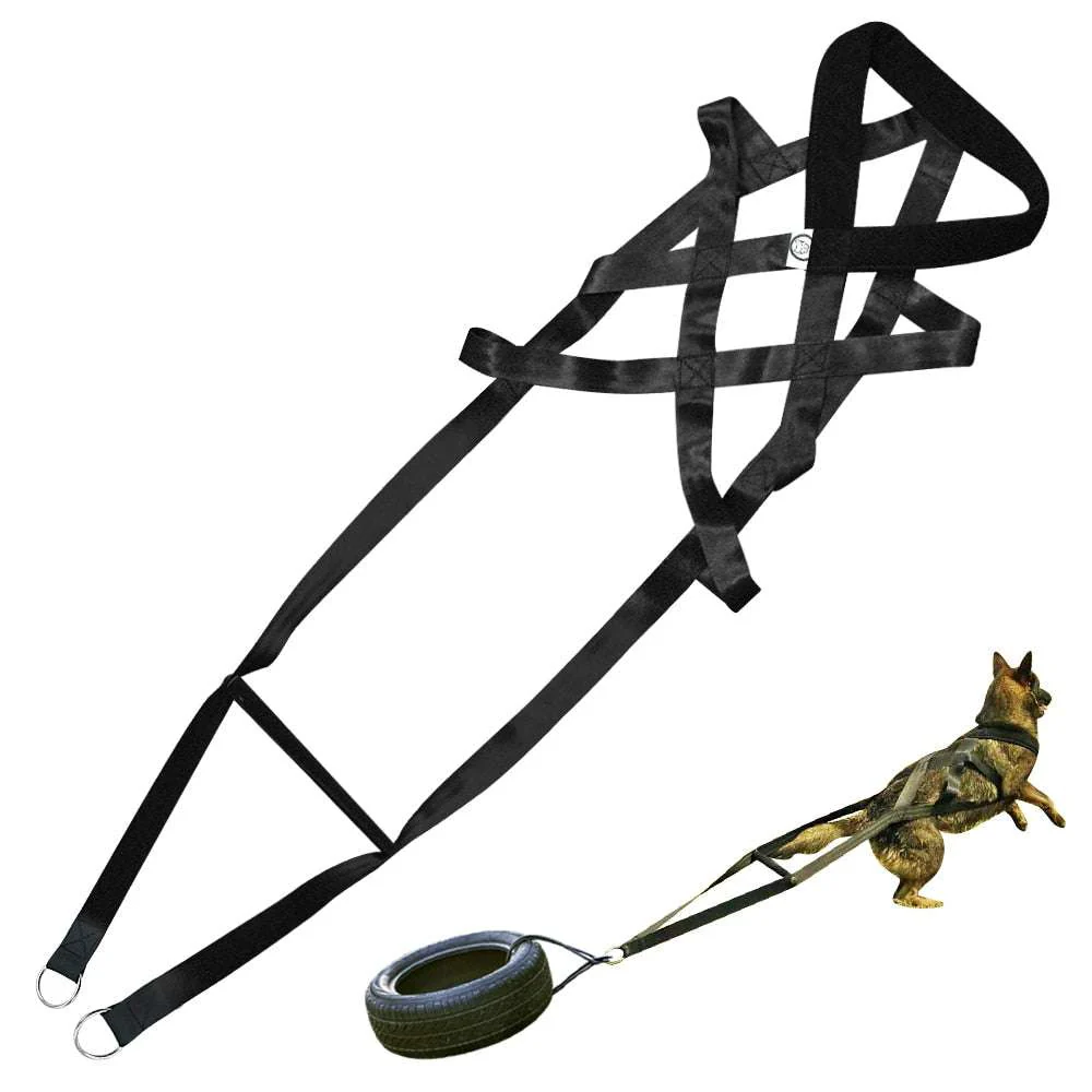 Heavy Duty Dog Harness Pet Leash Lead Set