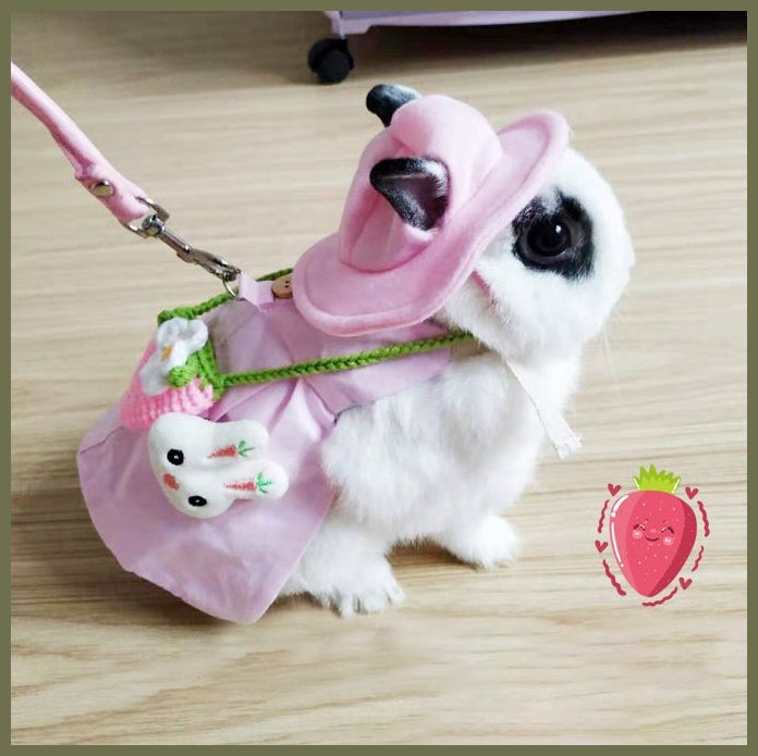 Pet Rabbit Traction Rope Cute Vest Skirt Clothing Supplies
