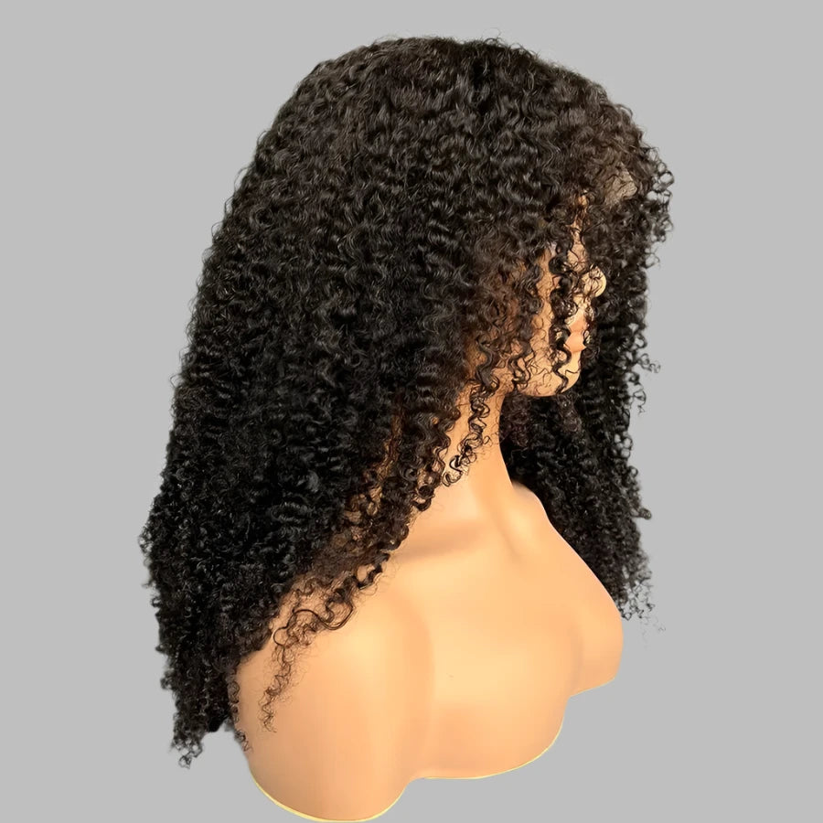 Newa 13x6 HD Lace Full Frontal Wig Brazilian Curly Human Hair Wigs Invisible HD Lace Glueless 13x4 HD Lace Front Wig For Women