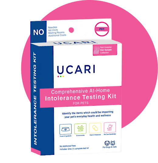 Pet Intolerance Test Kit