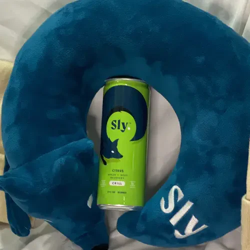 Sly™ Fox Neck Pillow + 4 Pack CHILL Citrus Bundle