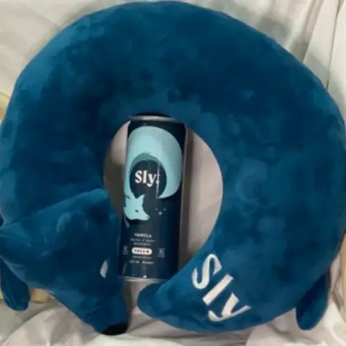 Sly™ Fox Neck Pillow + 4 Pack Vanilla DREAM Bundle