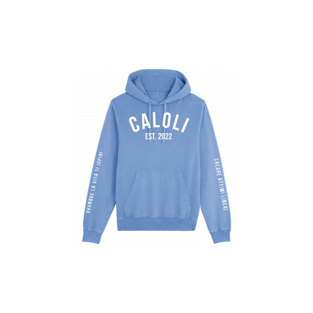Hoodie Winter Ice