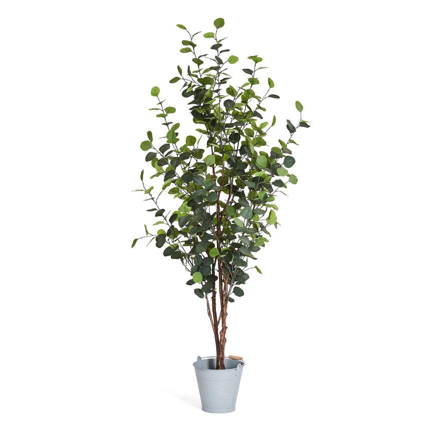 Plante artificielle Eucalyptus 180 cm