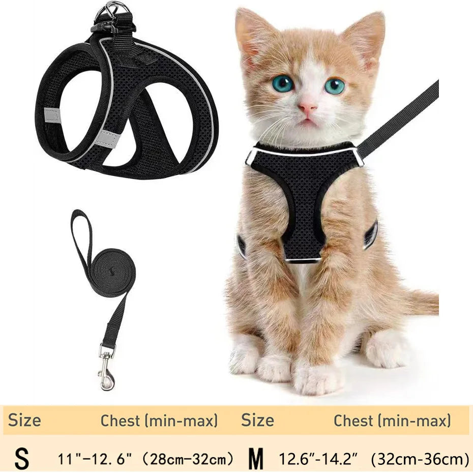 Cat Harness and Leash