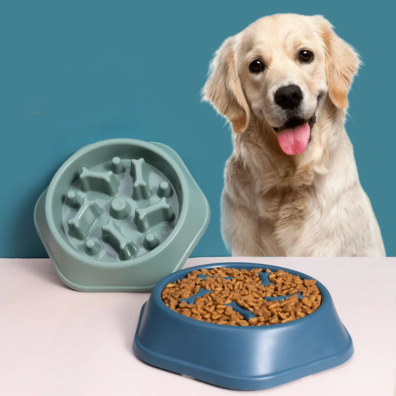 Slow Feeding Dog Food Bowl