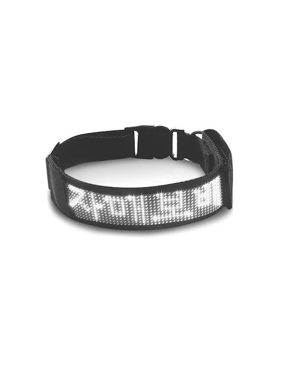 BDSM LED Bluetooth Collar For Good Gay Boy