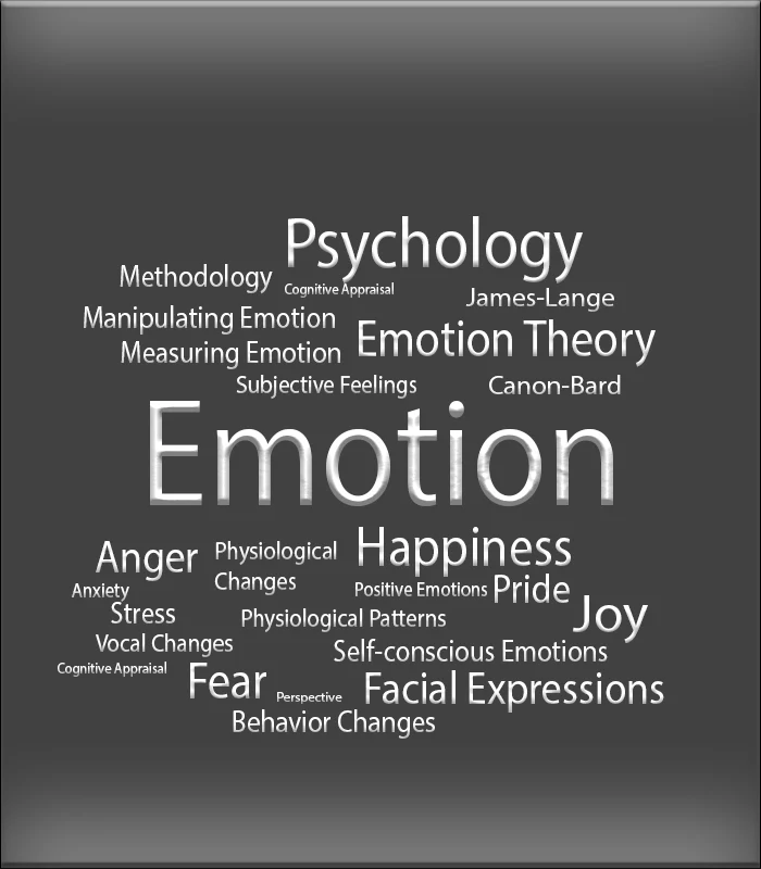 Self-Awareness Techniques for ADHD: Psychology of Emotions eBook Bundle