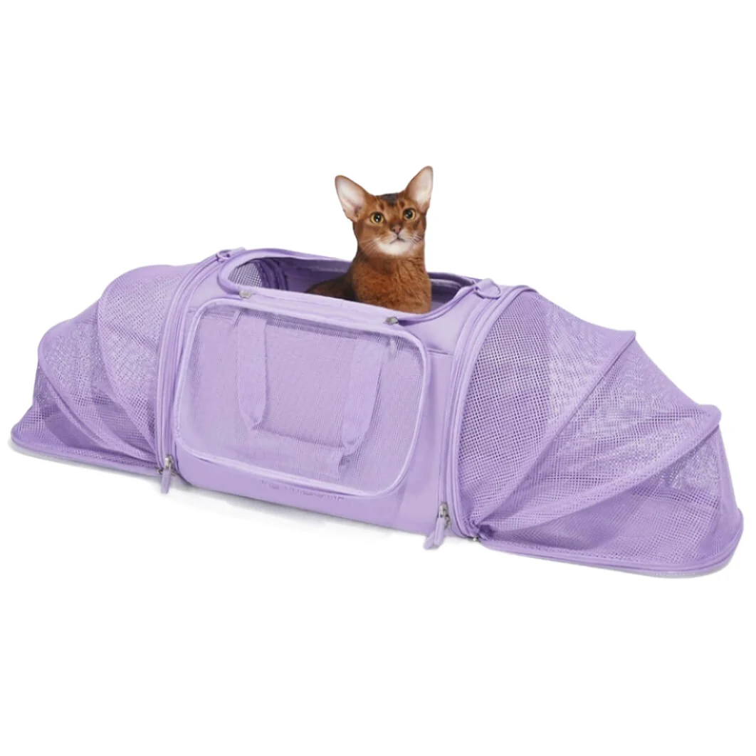 Violet Cat and Dog Pet Carrier