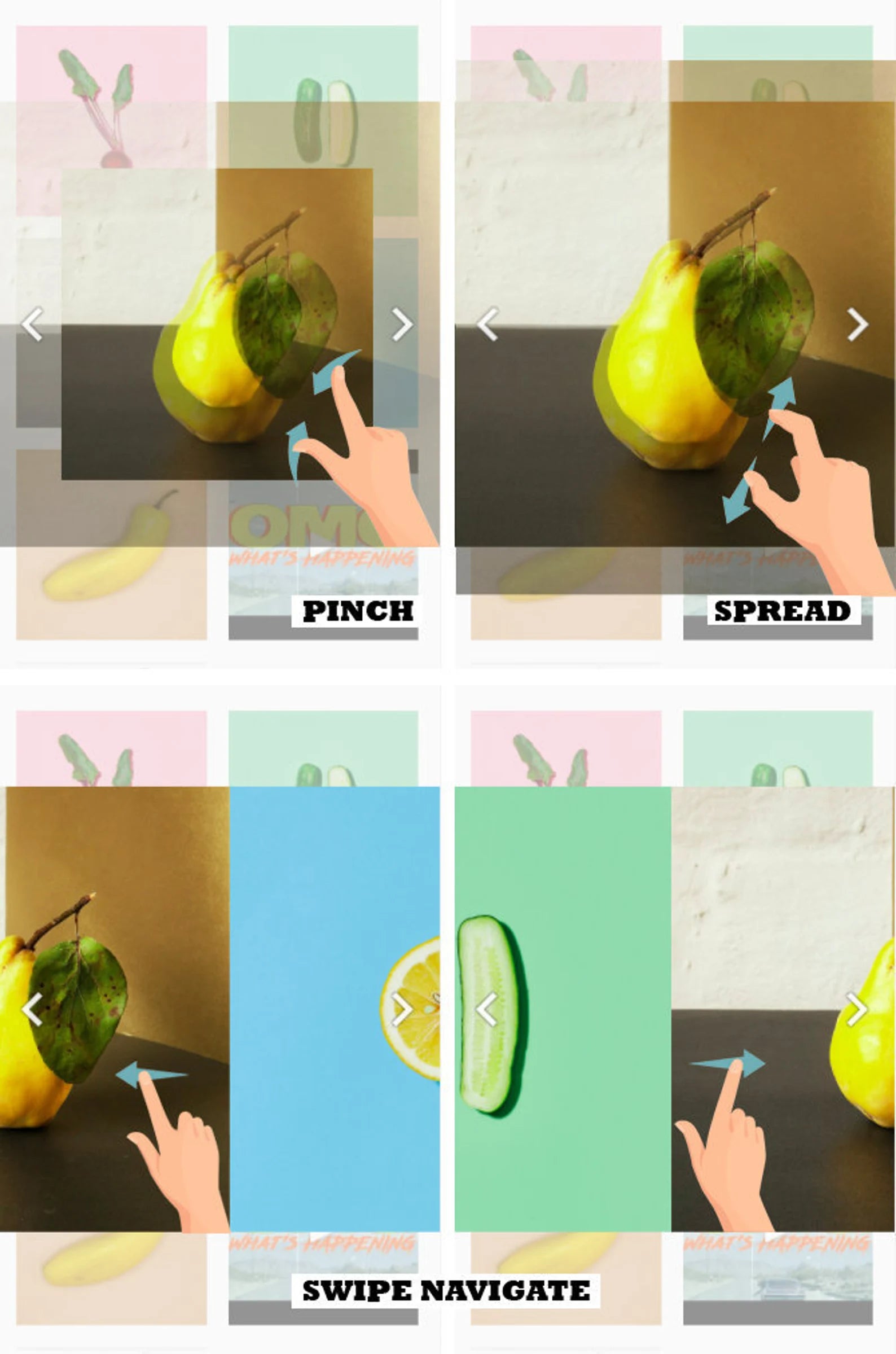 Squarespace Plugin: Pinch zoom Lightbox