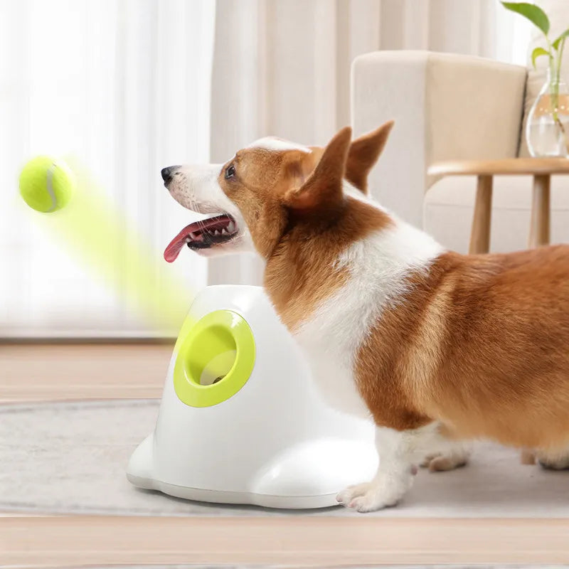 Dog Toys | Tennis Launcher