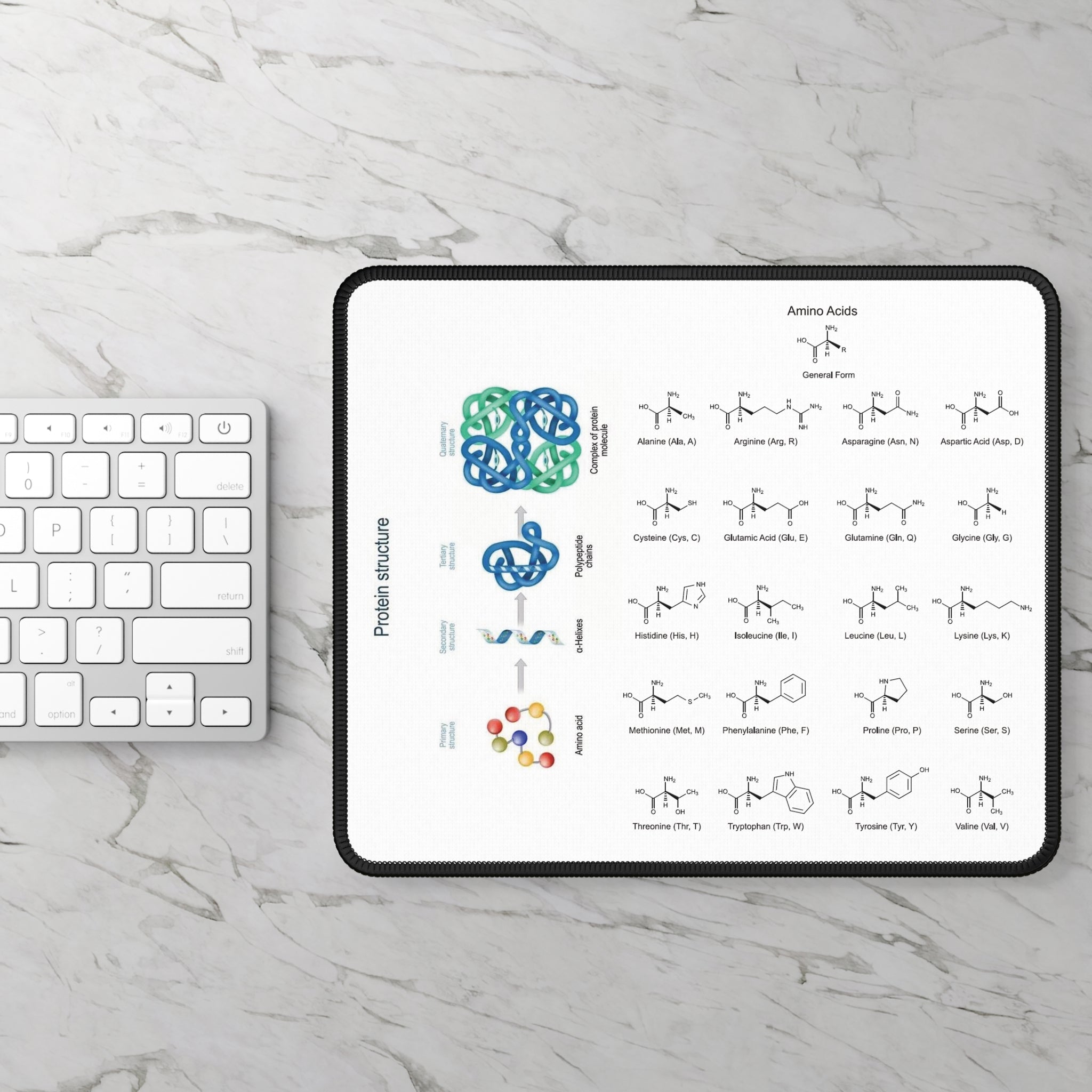 Never forget Protein & amino acids structures mouse pad