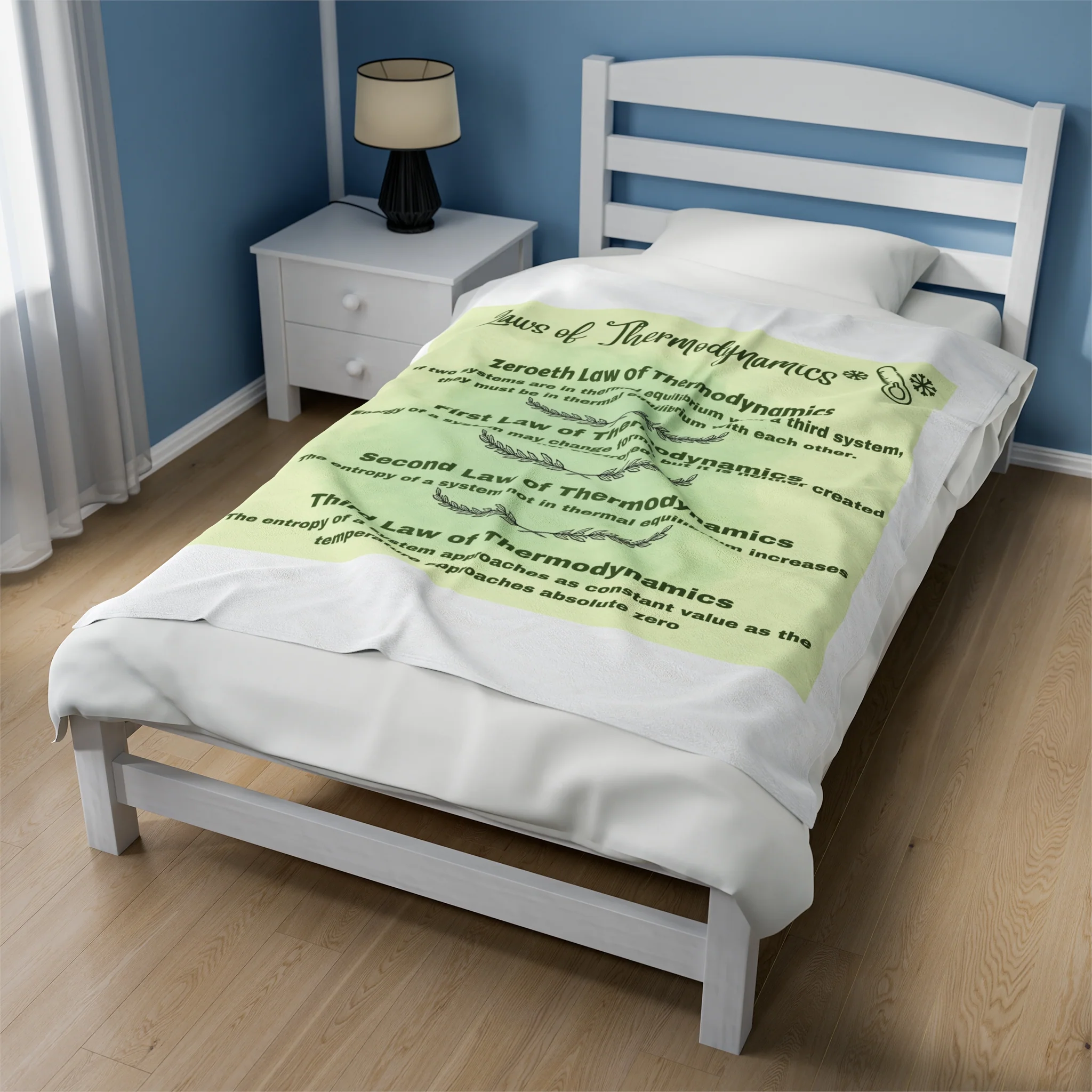 Laws of thermodynamics- Velveteen Plush Blanket