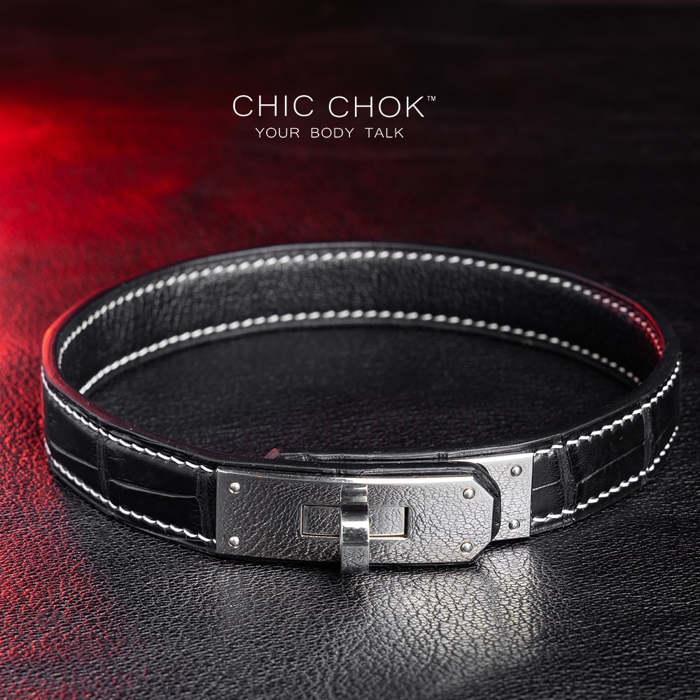 North American Alligator - Collar