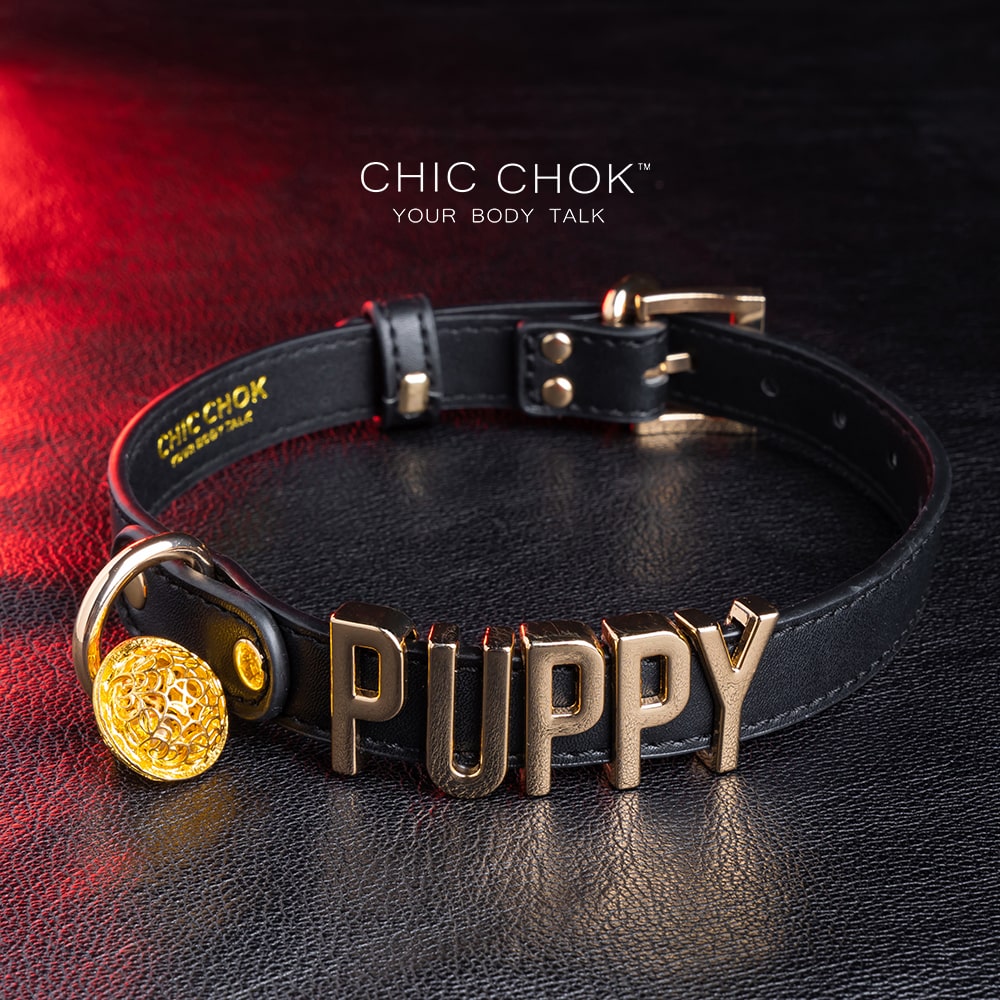 CHICCHOK [PUPPY] - Personalize Letters(Maximum 6) Fashion Choker